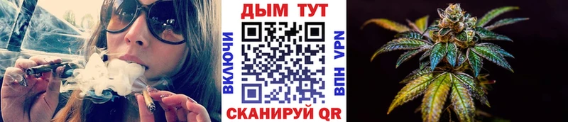 Где купить наркоту Приморск Канабис  Кокаин  ГАШ  APVP  Меф мяу мяу 