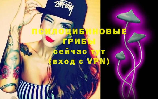 метадон Арсеньев