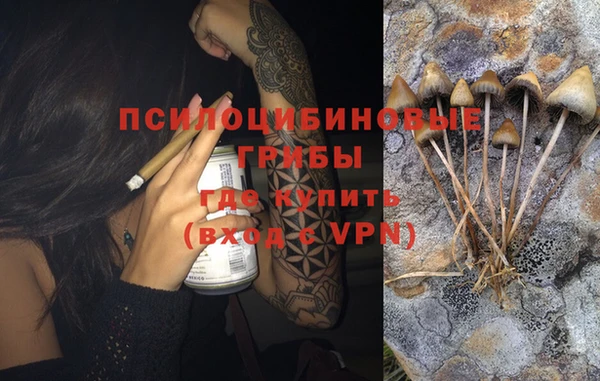 дурь Аркадак