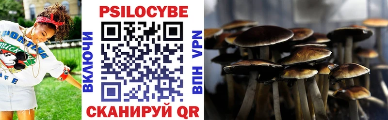 Псилоцибиновые грибы Psilocybe Приморск